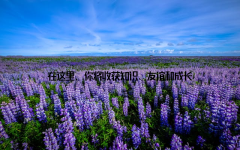 在这里, 你将收获知识、友谊和成长