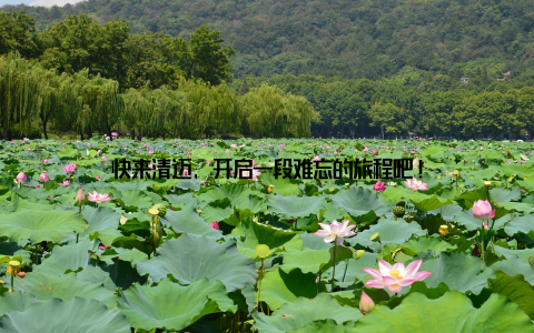 快来清迈, 开启一段难忘的旅程吧!