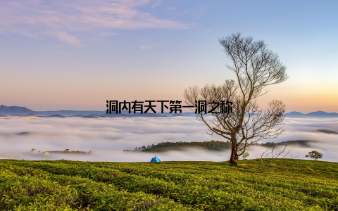 洞内有天下第一洞之称