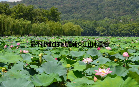 最不能错过的就是新安江山水画廊