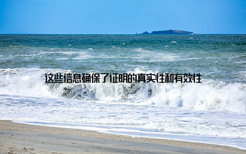 这些信息确保了证明的真实性和有效性