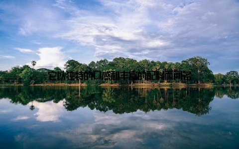 它以独特的口感和丰富的配料而闻名