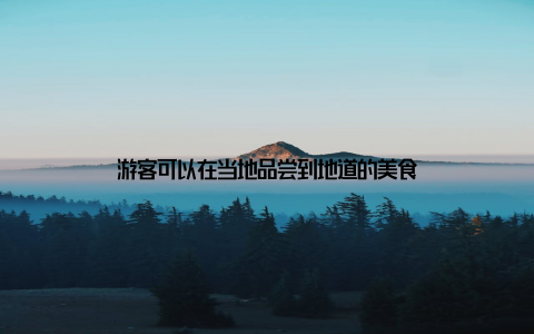 游客可以在当地品尝到地道的美食