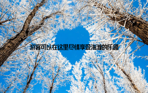 游客可以在这里尽情享受海滩的乐趣