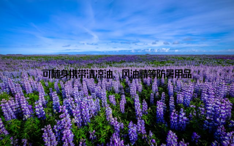 可随身携带清凉油、风油精等防暑用品