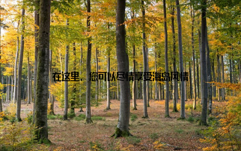 在这里, 您可以尽情享受海岛风情