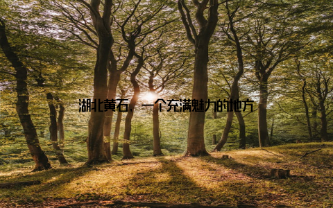 湖北黄石, 一个充满魅力的地方