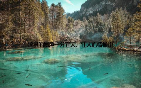 这里的景色十分宜人, 让人心情愉悦