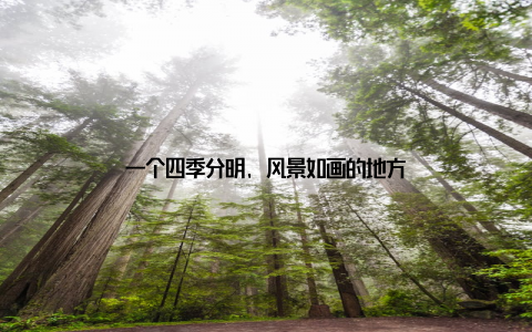 一个四季分明, 风景如画的地方