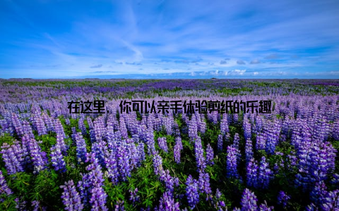 在这里, 你可以亲手体验剪纸的乐趣