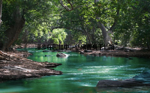 漫步在园林中, 仿佛置身于仙境