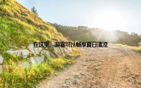 在这里, 游客可以畅享夏日清凉