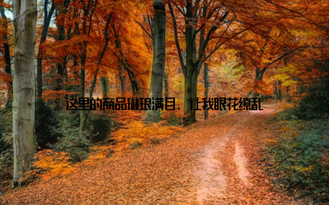 这里的商品琳琅满目, 让我眼花缭乱