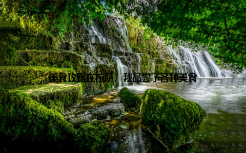 美食攻略在拉萨, 我品尝了各种美食