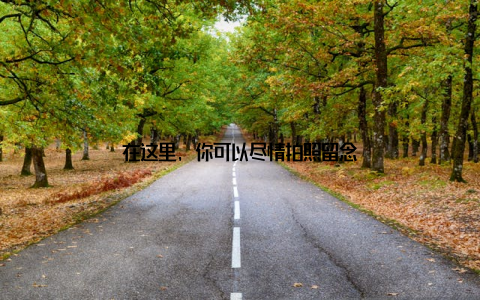 在这里, 你可以尽情拍照留念