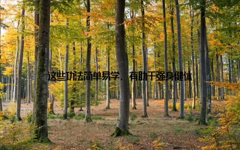 这些功法简单易学, 有助于强身健体