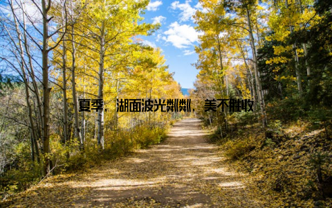 夏季, 湖面波光粼粼, 美不胜收