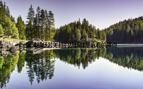 沙漠胡杨若羌县的胡杨林是必看的景点