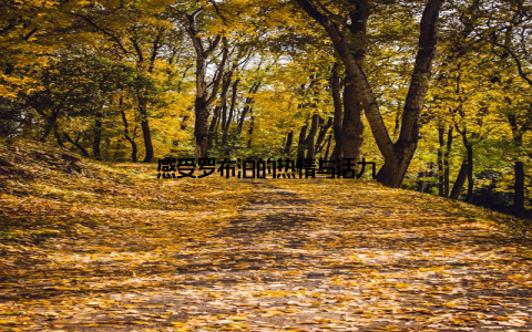 感受罗布泊的热情与活力