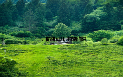 三、陷阱避开 购物陷阱