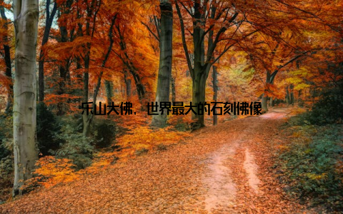 乐山大佛, 世界最大的石刻佛像