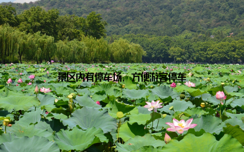 景区内有停车场, 方便游客停车