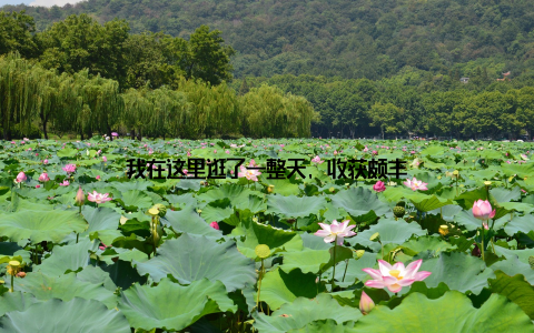 我在这里逛了一整天, 收获颇丰