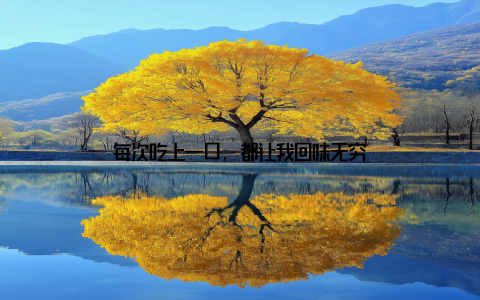 每次吃上一口, 都让我回味无穷