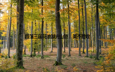 段落三莲花池湖光山色, 美不胜收