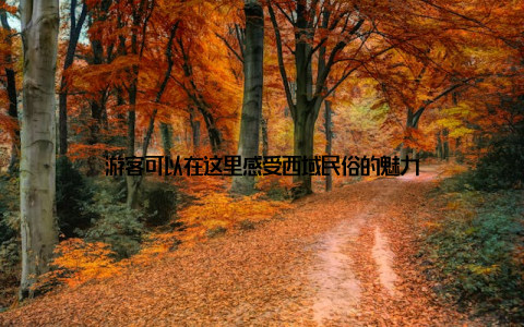 游客可以在这里感受西域民俗的魅力