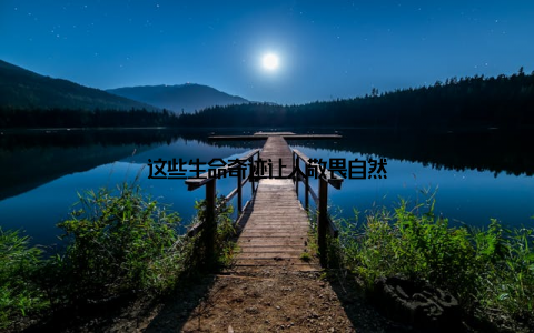 这些生命奇迹让人敬畏自然