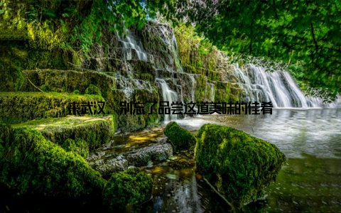 来武汉, 别忘了品尝这道美味的佳肴