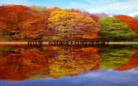 在这里, 你将邂逅大自然的鬼斧神工