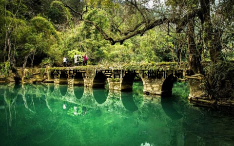 登高望远, 感受青城天下幽的意境